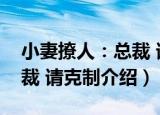 小妻撩人：总裁 请克制（关于小妻撩人：总裁 请克制介绍）