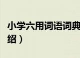 小学六用词语词典（关于小学六用词语词典介绍）