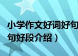 小学作文好词好句好段（关于小学作文好词好句好段介绍）