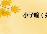小子瞳（关于小子瞳介绍）