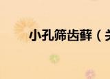 小孔筛齿藓（关于小孔筛齿藓介绍）