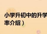 小学升初中的升学率（关于小学升初中的升学率介绍）