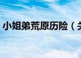 小姐弟荒原历险（关于小姐弟荒原历险介绍）