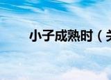 小子成熟时（关于小子成熟时介绍）