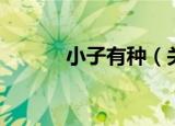 小子有种（关于小子有种介绍）