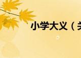 小学大义（关于小学大义介绍）