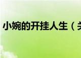 小婉的开挂人生（关于小婉的开挂人生介绍）
