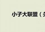 小子大联盟（关于小子大联盟介绍）