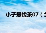 小子爱找茶07（关于小子爱找茶07介绍）