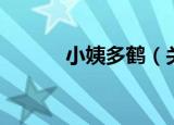 小姨多鹤（关于小姨多鹤介绍）