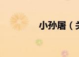 小孙屠（关于小孙屠介绍）