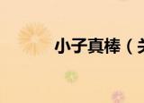 小子真棒（关于小子真棒介绍）