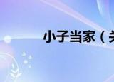 小子当家（关于小子当家介绍）