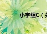 小字组C（关于小字组C介绍）