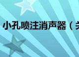 小孔喷注消声器（关于小孔喷注消声器介绍）