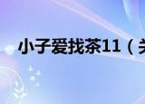 小子爱找茶11（关于小子爱找茶11介绍）