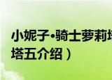 小妮子·骑士萝莉塔五（关于小妮子·骑士萝莉塔五介绍）