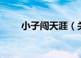 小子闯天涯（关于小子闯天涯介绍）