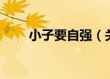 小子要自强（关于小子要自强介绍）