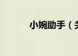小婉助手（关于小婉助手介绍）