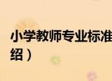 小学教师专业标准（关于小学教师专业标准介绍）