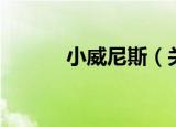 小威尼斯（关于小威尼斯介绍）