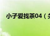 小子爱找茶04（关于小子爱找茶04介绍）