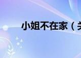 小姐不在家（关于小姐不在家介绍）