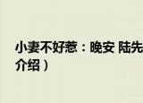 小妻不好惹：晚安 陆先生（关于小妻不好惹：晚安 陆先生介绍）
