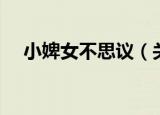 小婢女不思议（关于小婢女不思议介绍）