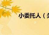 小委托人（关于小委托人介绍）