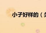 小子好样的（关于小子好样的介绍）