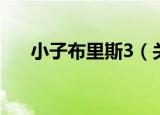 小子布里斯3（关于小子布里斯3介绍）