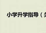 小学升学指导（关于小学升学指导介绍）