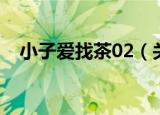 小子爱找茶02（关于小子爱找茶02介绍）
