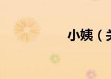 小姨（关于小姨介绍）