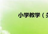 小学教学（关于小学教学介绍）