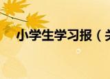 小学生学习报（关于小学生学习报介绍）