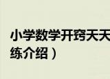 小学数学开窍天天练（关于小学数学开窍天天练介绍）