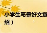 小学生写景好文章（关于小学生写景好文章介绍）