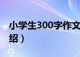 小学生300字作文（关于小学生300字作文介绍）