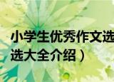 小学生优秀作文选大全（关于小学生优秀作文选大全介绍）