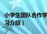 小学生团队合作学习（关于小学生团队合作学习介绍）