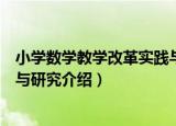小学数学教学改革实践与研究（关于小学数学教学改革实践与研究介绍）
