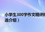 小学生300字作文精评精选（关于小学生300字作文精评精选介绍）