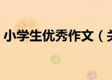 小学生优秀作文（关于小学生优秀作文介绍）