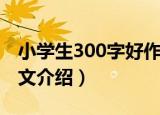 小学生300字好作文（关于小学生300字好作文介绍）