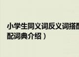 小学生同义词反义词搭配词典（关于小学生同义词反义词搭配词典介绍）