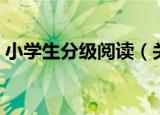 小学生分级阅读（关于小学生分级阅读介绍）