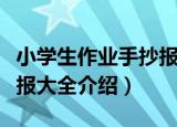 小学生作业手抄报大全（关于小学生作业手抄报大全介绍）
